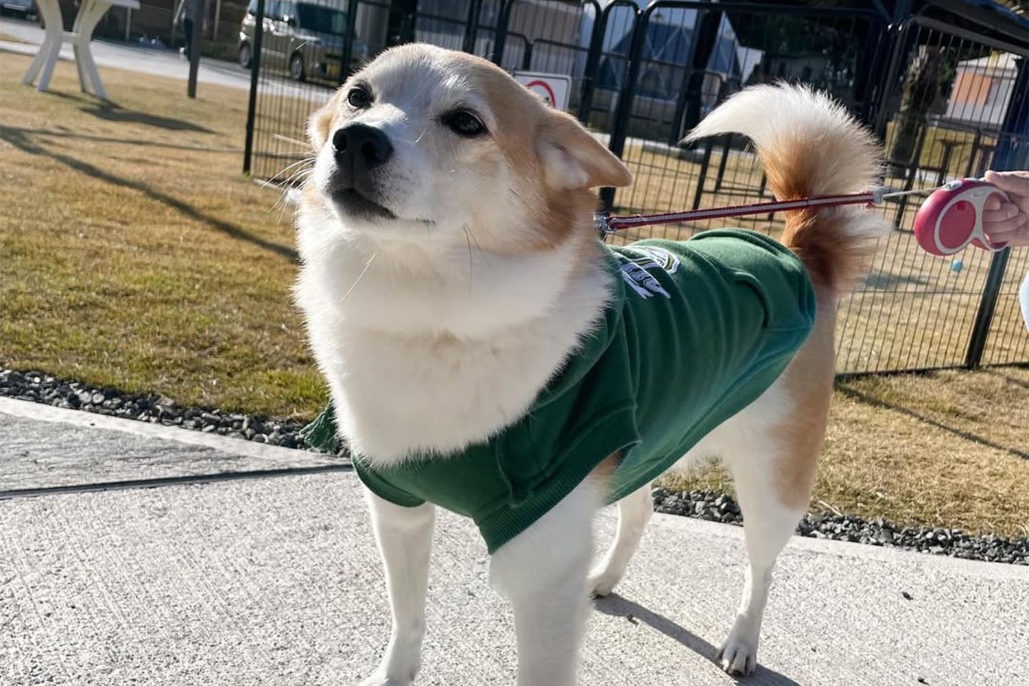 special welcome treat