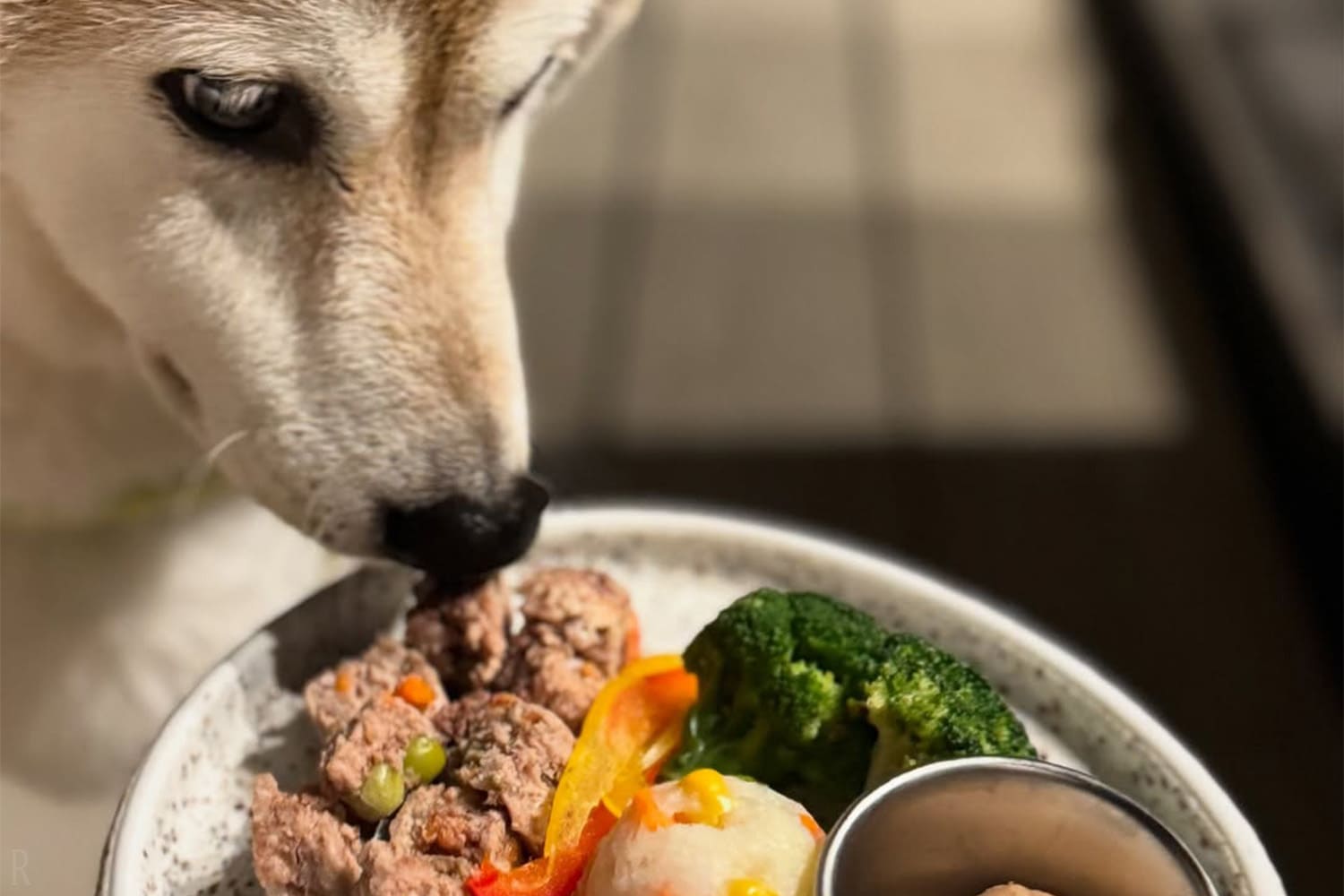 Dog Meals Included for Dinner Plans