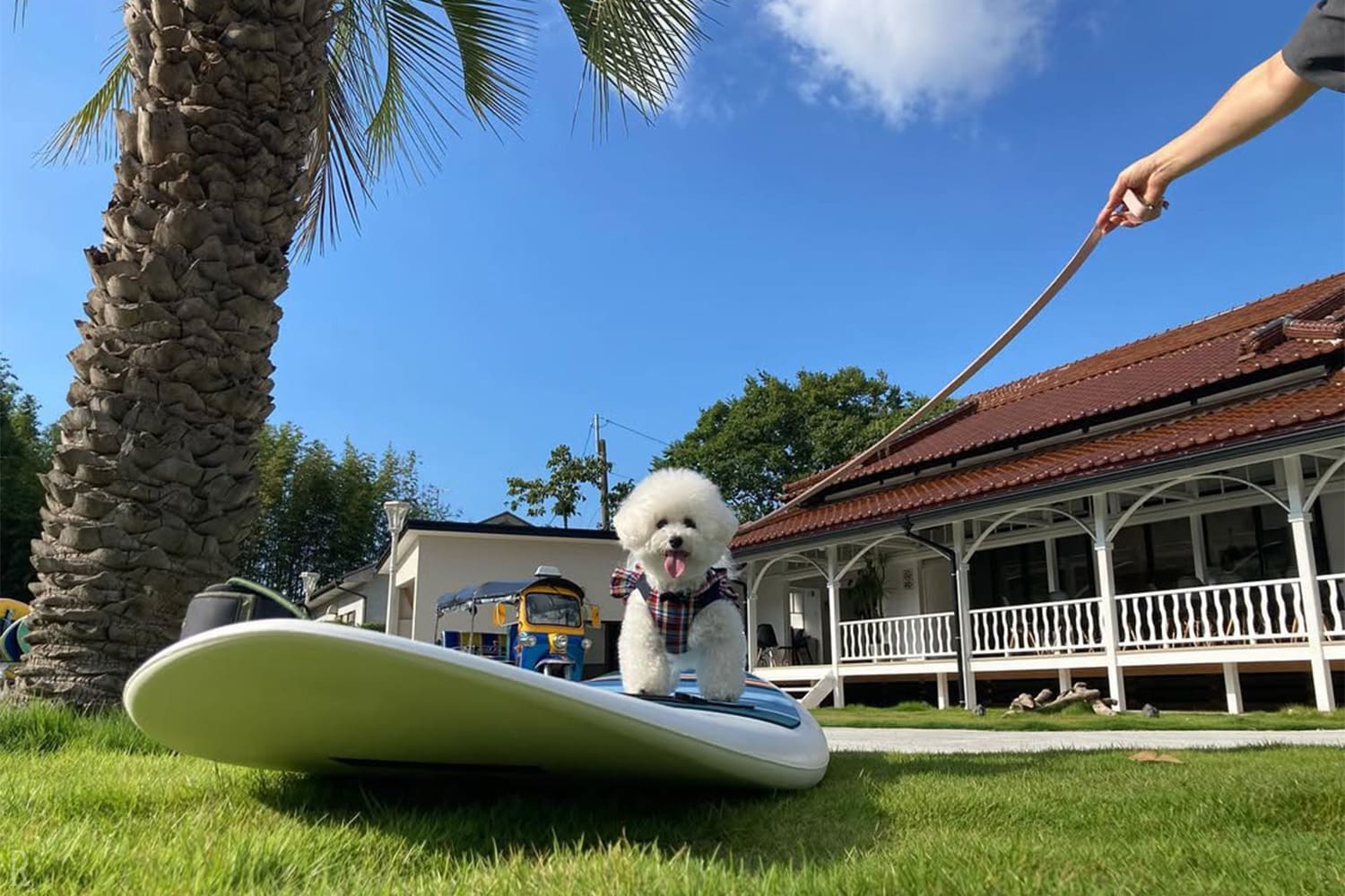 Capture Memories at Instagram-Worthy Spots