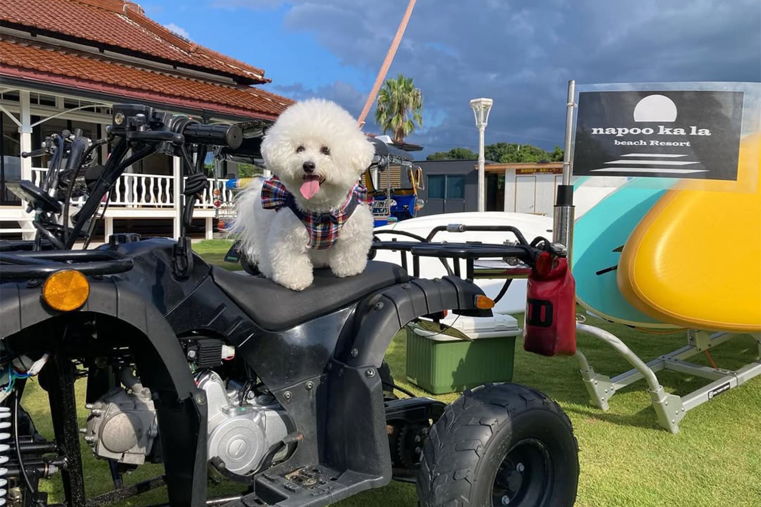 Capture Memories at Instagram-Worthy Spots